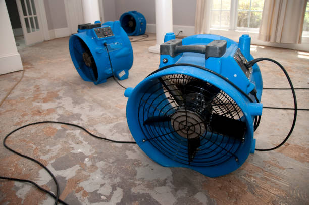 Best Professional water damage repair  in Garfield, TX