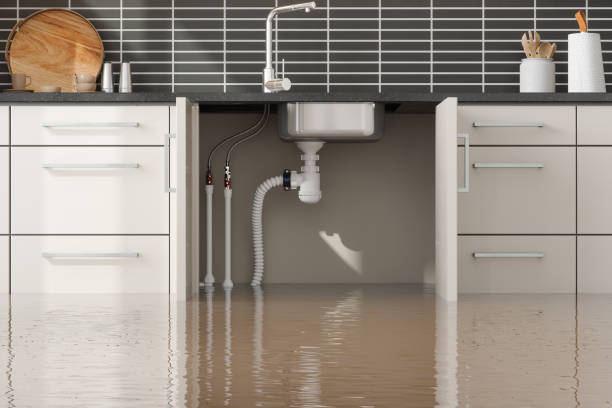 Best Water damage restoration mold remediation  in Garfield, TX